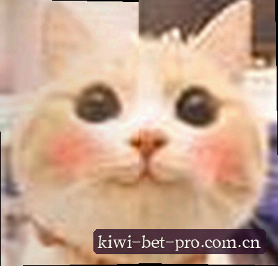 王凯